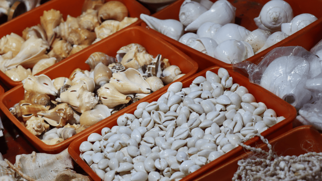  Puri Beach Market:
