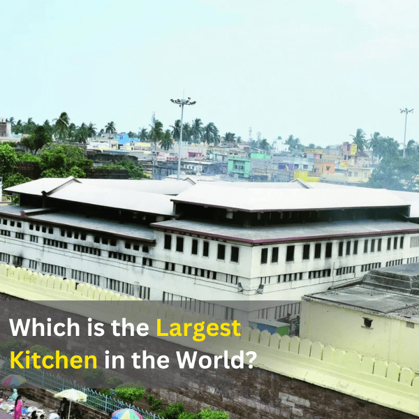Which is the Largest Kitchen in the World?