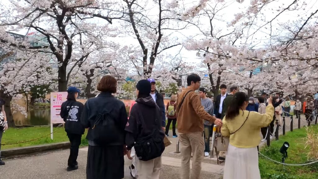 Ueno Cherry Blossom Festival